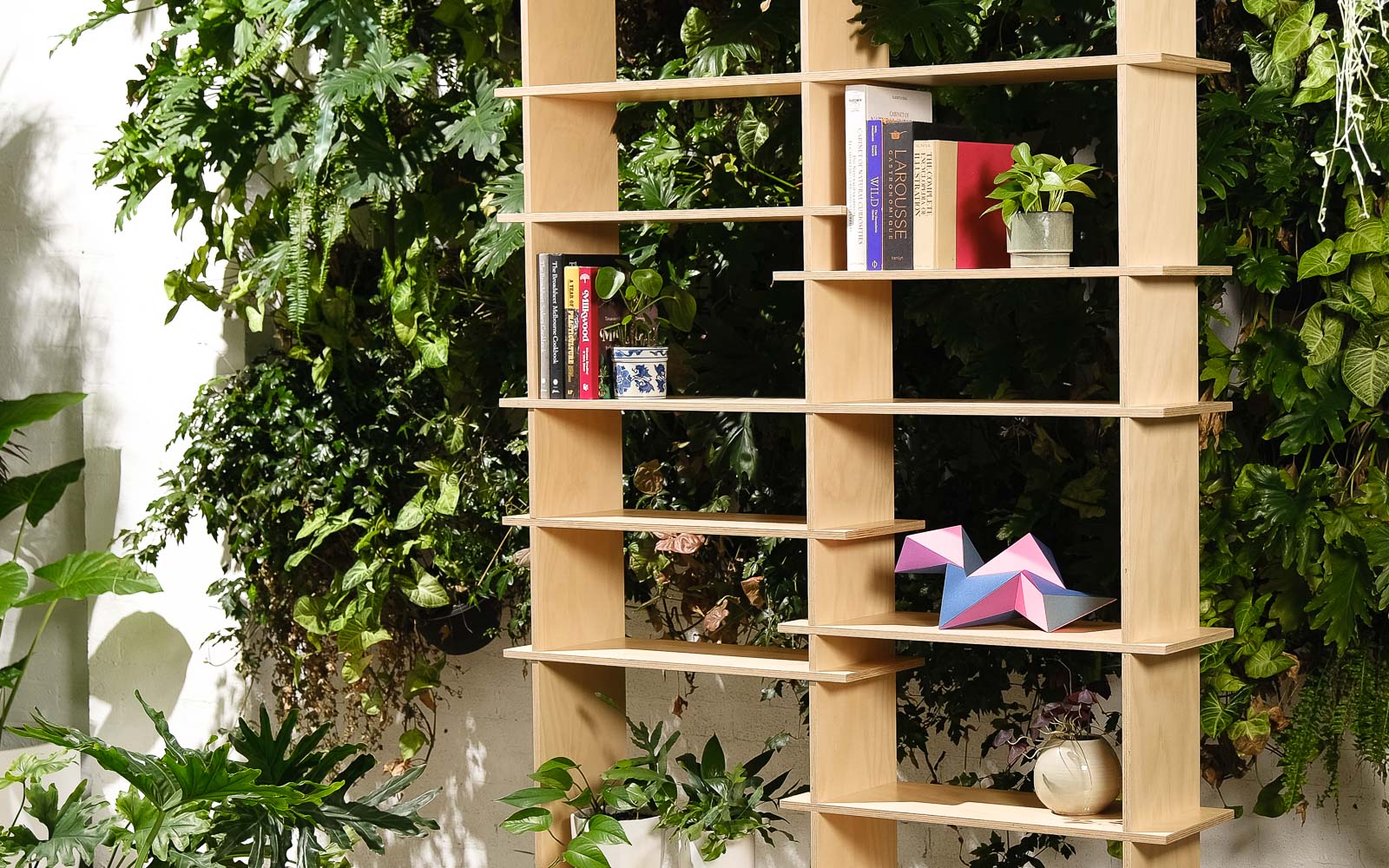a set of bookshelves in front of green plants