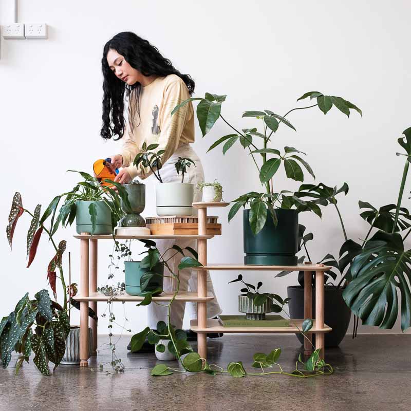 KittaColin looking green